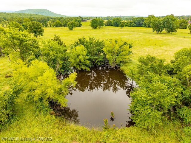 18606 Horse Pen Ln, Howe, OK 74940 - photo 43