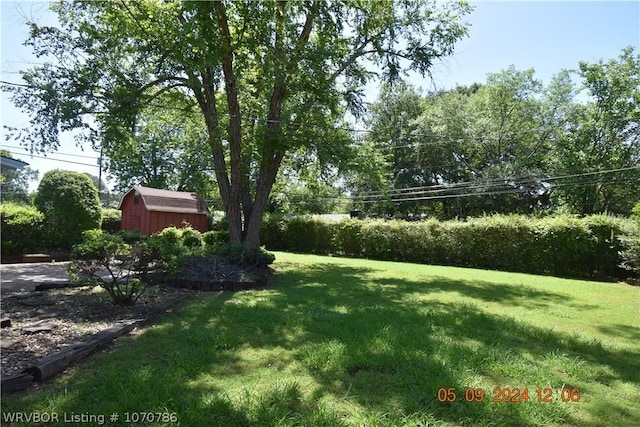 view of yard with a shed