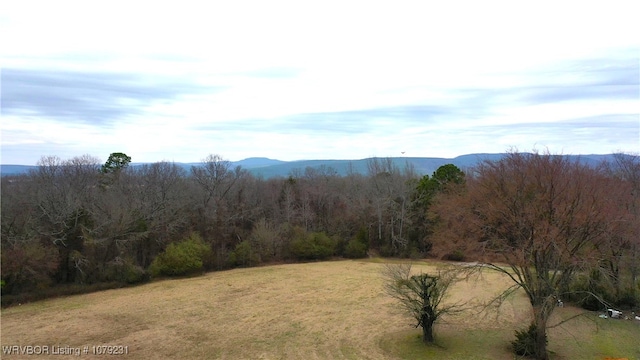 property view of mountains featuring a forest view