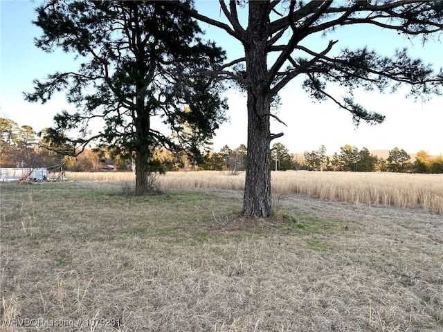 view of yard with a rural view