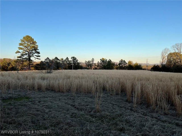 view of nature featuring a rural view