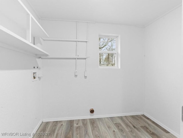 laundry area featuring hardwood / wood-style flooring and washer hookup