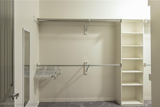 spacious closet with carpet flooring