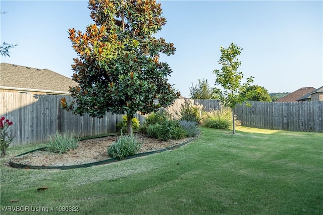 view of yard with a fenced backyard