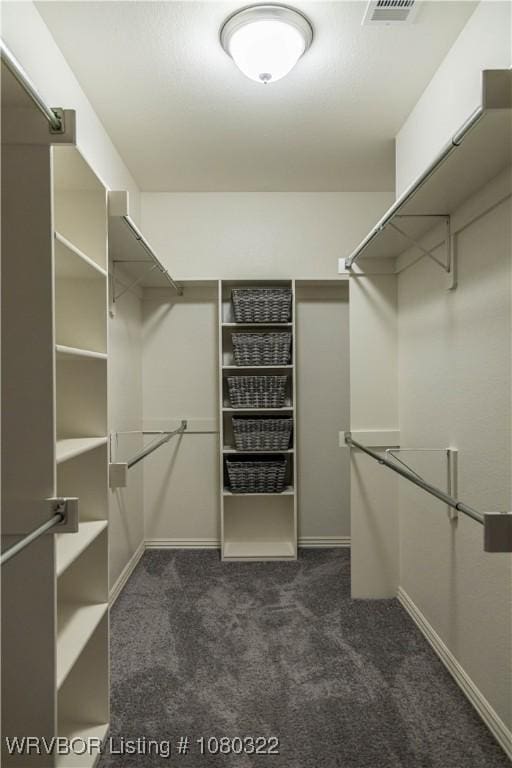 walk in closet with dark colored carpet