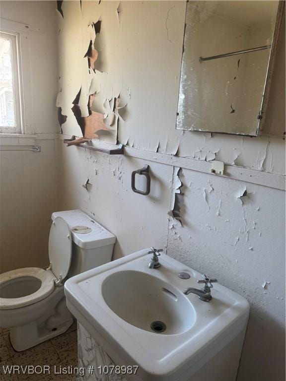 bathroom featuring toilet and sink