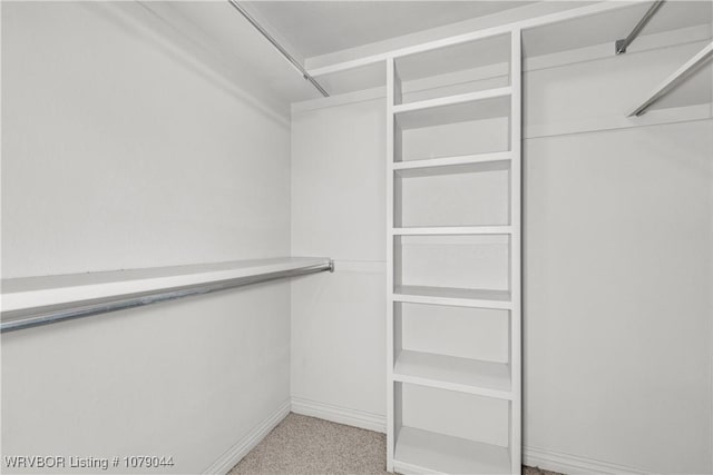 2601 Bugscuffle Rd, Lavaca, AR 72941 - spacious closet featuring light carpet