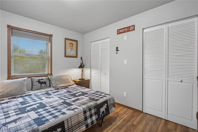 11667 Falling Rock Rd, Havana, AR 72842 - bedroom featuring multiple closets and wood finished floors