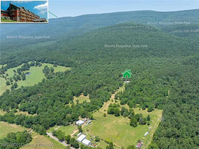 11667 Falling Rock Rd, Havana, AR 72842 - aerial overview of property's location with a heavily wooded area