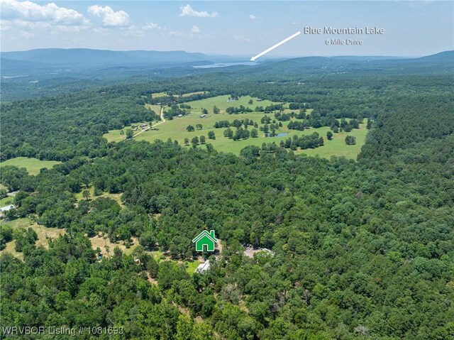 11667 Falling Rock Rd, Havana, AR 72842 - drone / aerial view of a heavily wooded area and a mountain backdrop