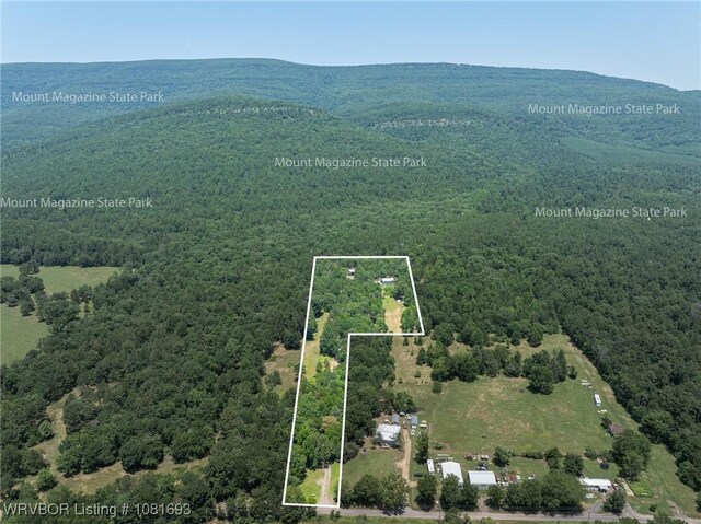 11667 Falling Rock Rd, Havana, AR 72842 - aerial overview of property's location with property boundaries highlighted and a mountainous background