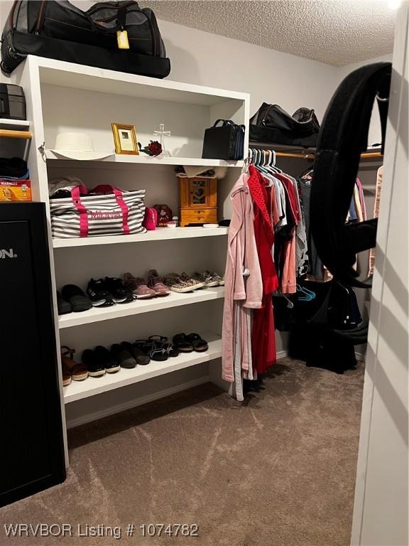 spacious closet featuring carpet floors