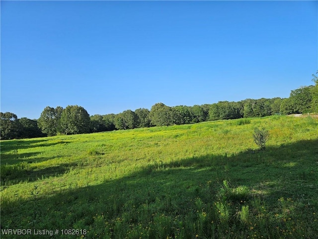 TBD Painted Acres Lane, Huntington, AR 72940 - photo 3