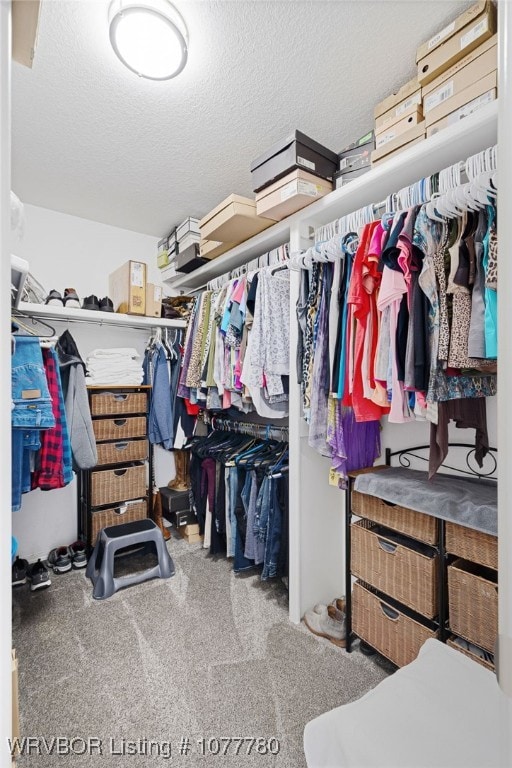 walk in closet featuring carpet