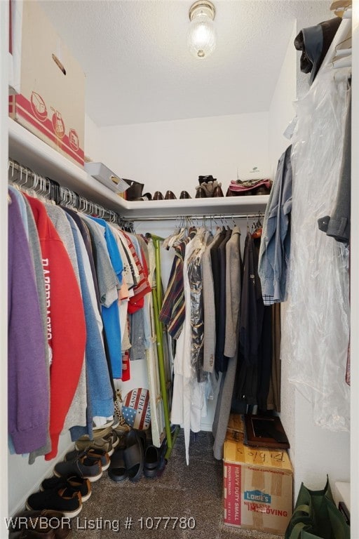 view of walk in closet