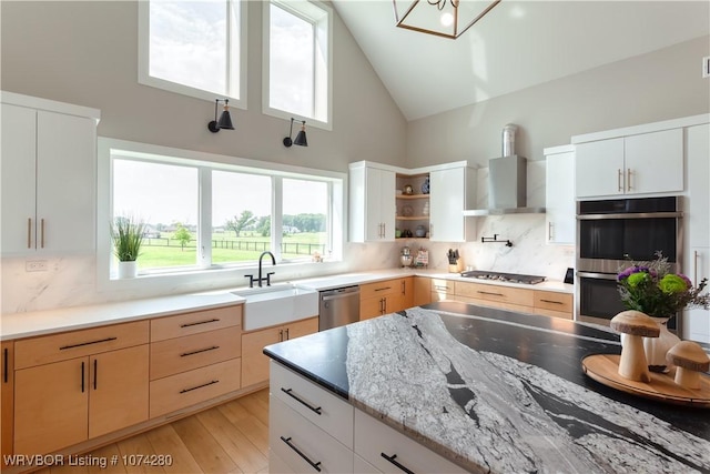 kitchen with white cabinetry, sink, wall chimney exhaust hood, stainless steel appliances, and backsplash