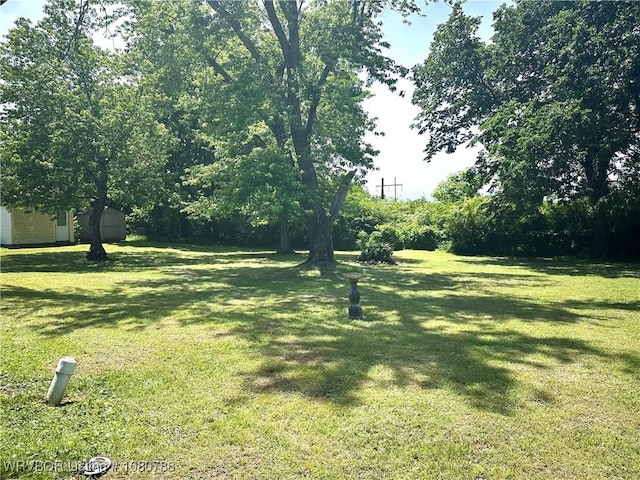 view of yard featuring a storage shed and an outdoor structure