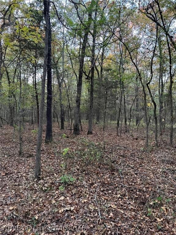 TBD SW 1090th, Wilburton, OK 74578