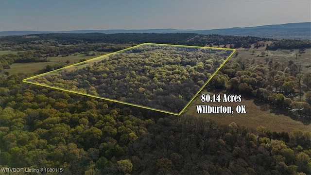 TBD SW 1090th, Wilburton, OK 74578