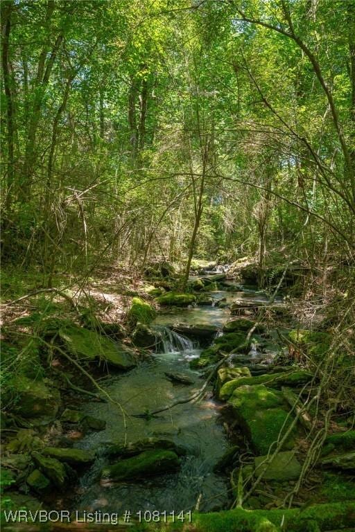 TBD Kenner Chapel Rd, Rudy, AR 72952