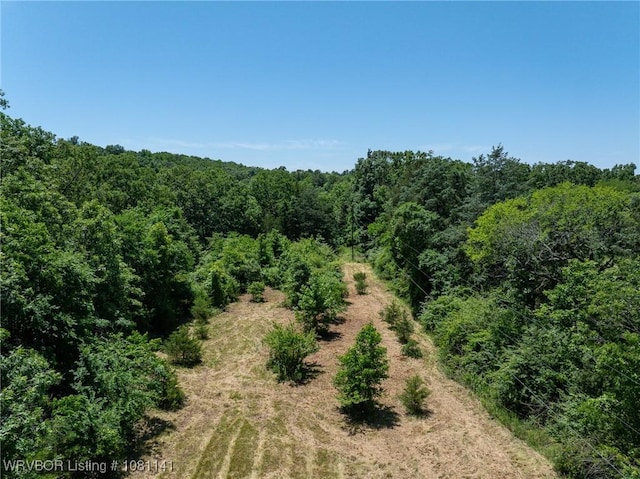 TBD Kenner Chapel Rd, Rudy, AR 72952