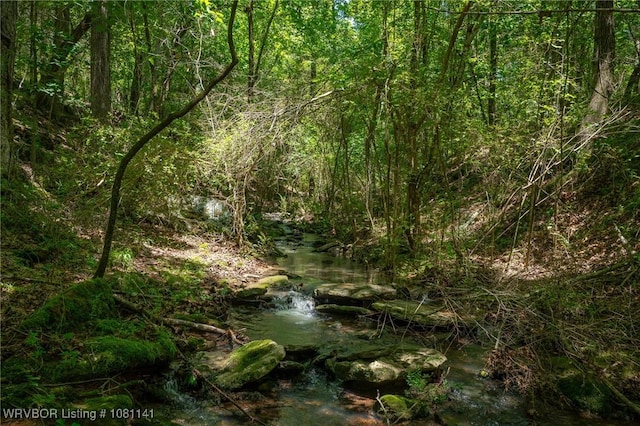 TBD Kenner Chapel Rd, Rudy, AR 72952