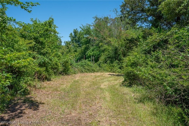 TBD Kenner Chapel Rd, Rudy, AR 72952