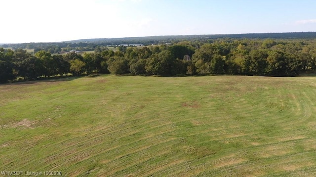 7434 N 217th Hwy, Charleston, AR 72933 - view of yard