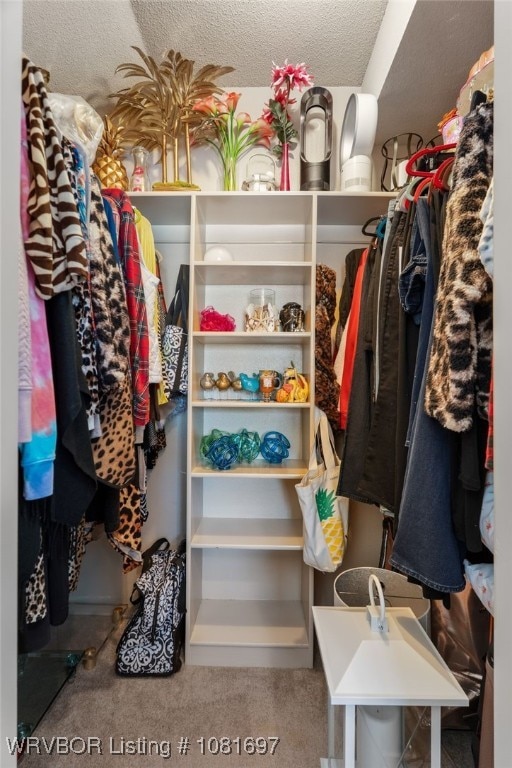 6501 Galven Way, Fort Smith, AR 72916 - spacious closet featuring carpet flooring
