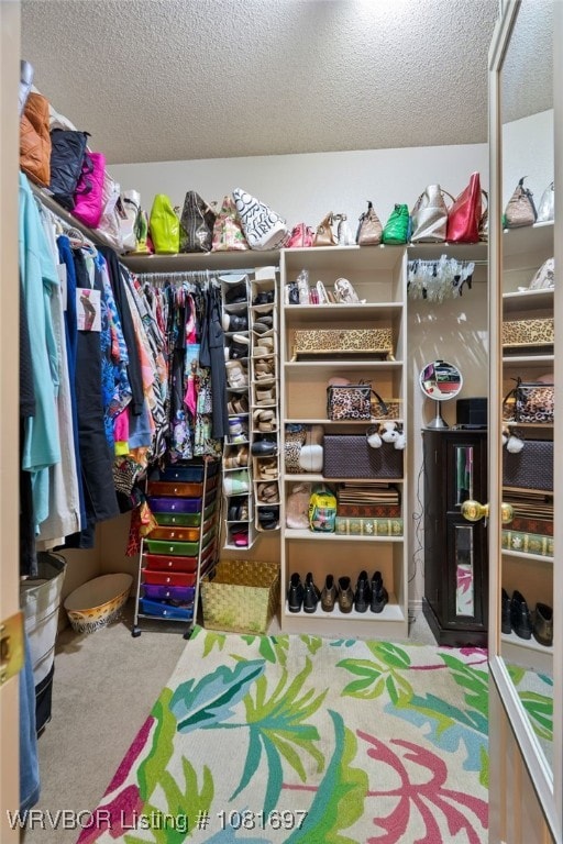 6501 Galven Way, Fort Smith, AR 72916 - walk in closet with carpet flooring