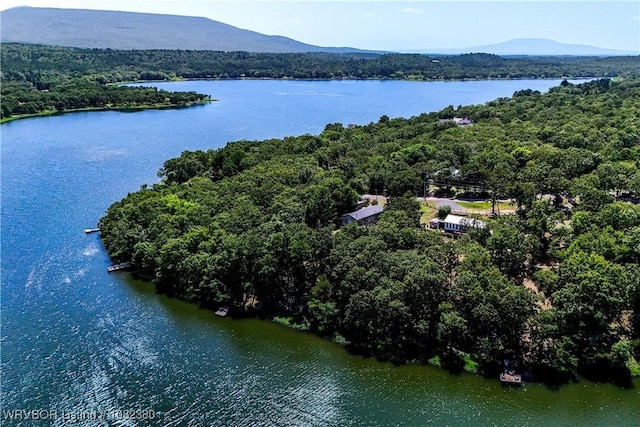 8721 Northshore Dr, Hackett, AR 72937 - drone / aerial view of a forest and a nearby body of water