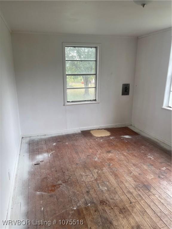 spare room featuring a wealth of natural light, wood-type flooring, and ornamental molding