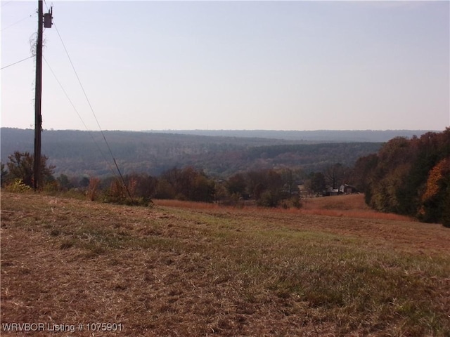 TBD Scenic View Rd, Ozark, AR 72949 - photo 18