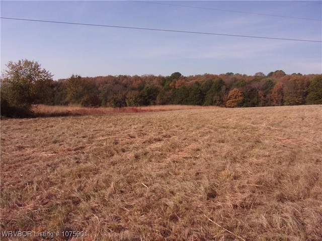 TBD Scenic View Rd, Ozark, AR 72949 - photo 19