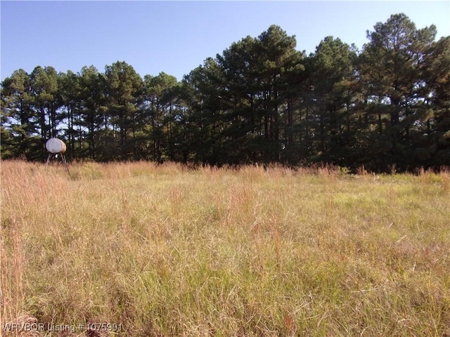 TBD Scenic View Rd, Ozark, AR 72949 - photo 29