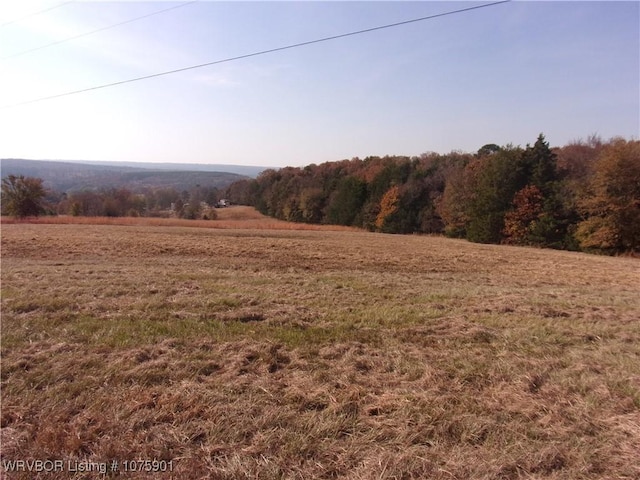 TBD Scenic View Rd, Ozark, AR 72949 - photo 20