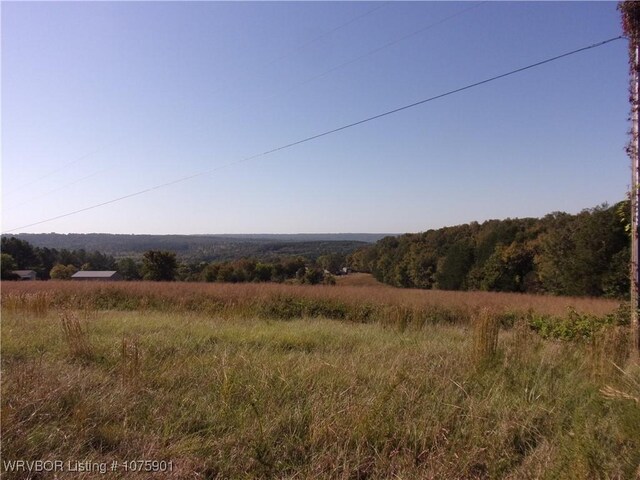 TBD Scenic View Rd, Ozark, AR 72949 - photo 11