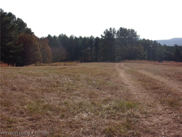 TBD Scenic View Rd, Ozark, AR 72949 - photo 25