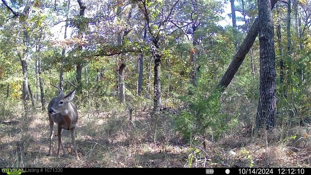TRACT6 SE 179th, Wilburton, OK 74578 - photo 27