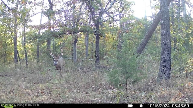 TRACT6 SE 179th, Wilburton, OK 74578 - photo 29