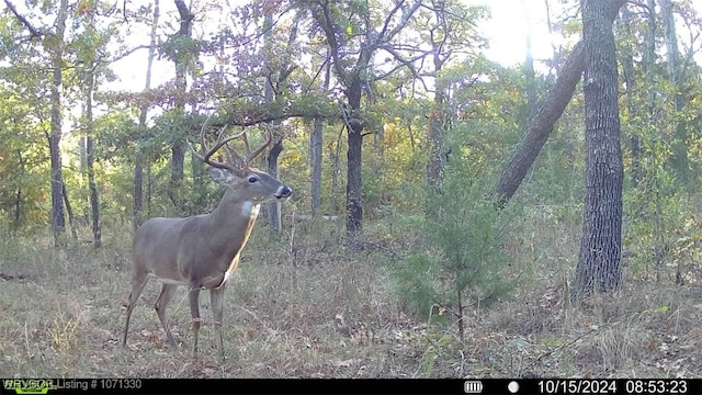 TRACT6 SE 179th, Wilburton, OK 74578 - photo 2