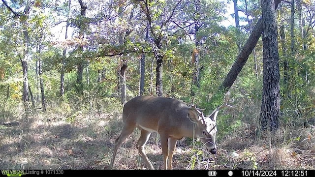 TRACT6 SE 179th, Wilburton, OK 74578 - photo 28