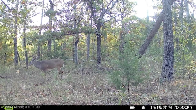 TRACT6 SE 179th, Wilburton, OK 74578 - photo 30