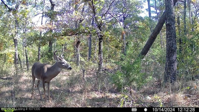 TRACT6 SE 179th, Wilburton, OK 74578 - photo 18