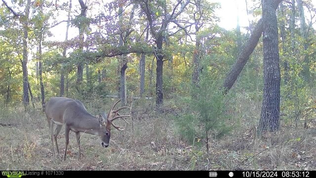 TRACT6 SE 179th, Wilburton, OK 74578 - photo 31