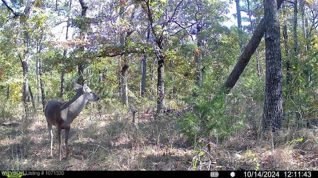 TRACT6 SE 179th, Wilburton, OK 74578 - photo 26