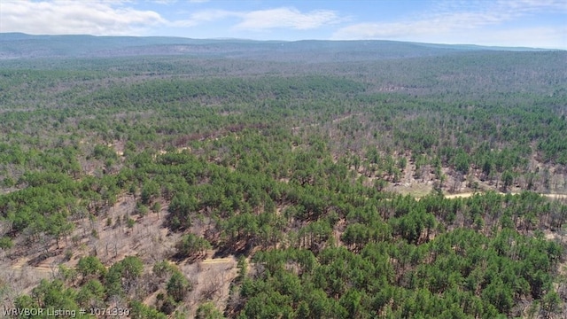 TRACT6 SE 179th, Wilburton, OK 74578 - photo 6