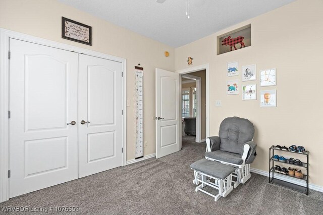 sitting room featuring carpet flooring