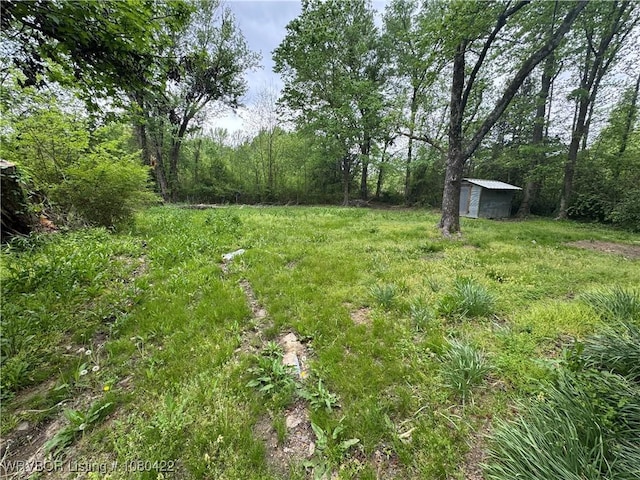 view of yard featuring a storage shed, a forest view, and an outdoor structure