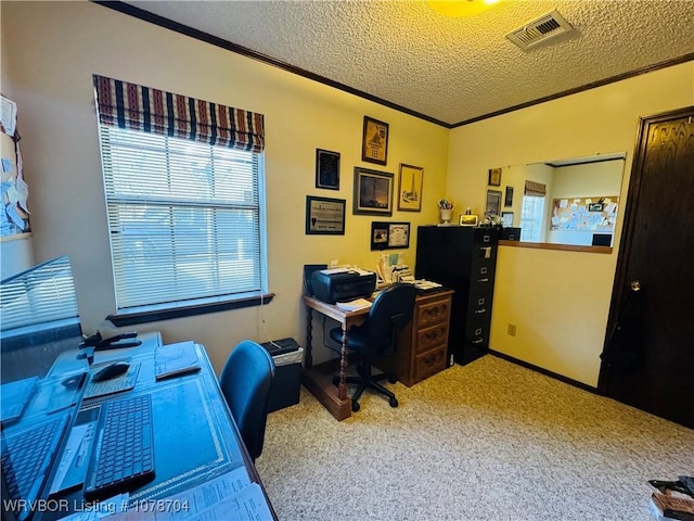 office featuring crown molding, carpet, and a textured ceiling